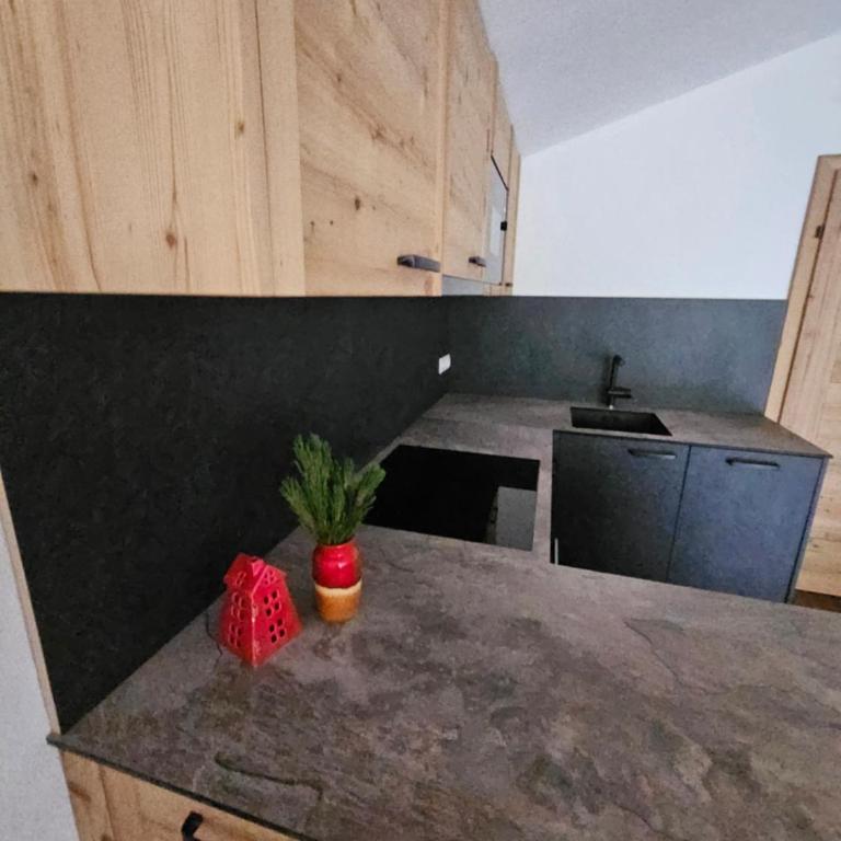Almhof Mareil - Apartamento de 2 dormitorios - 4