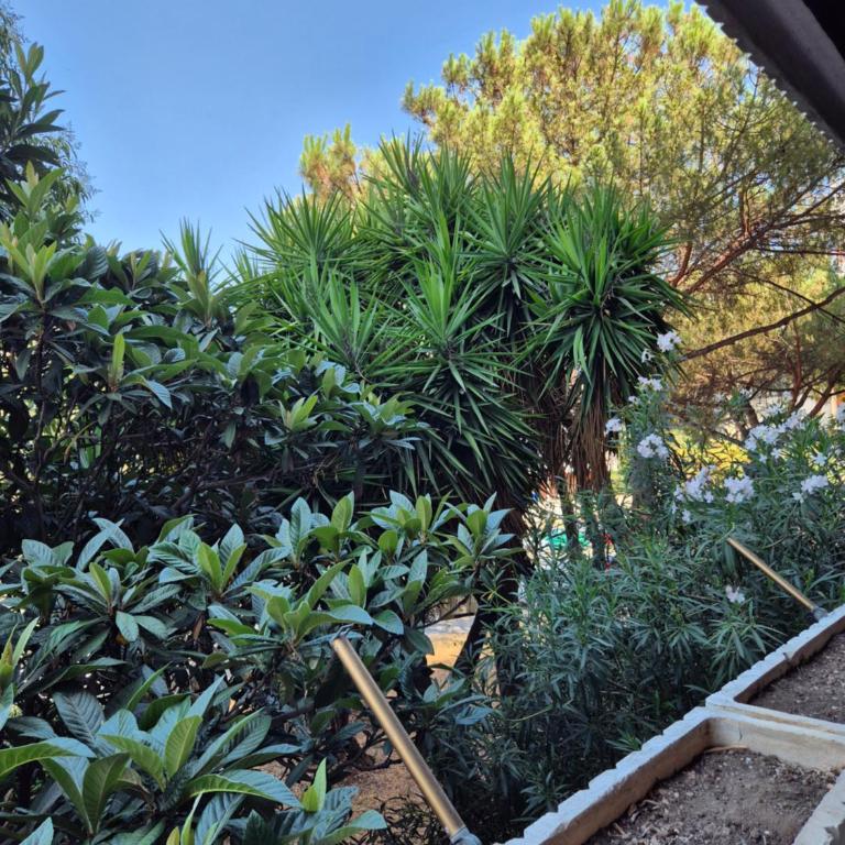 Spinaceto Modern Home, Roma EUR - Appartamento con 2 Camere da Letto - 20