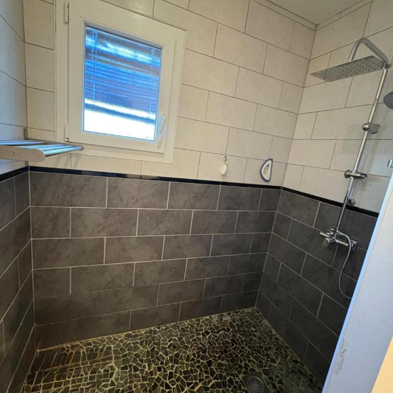 Maison avec piscine à proximité de la cité - Villa - 17