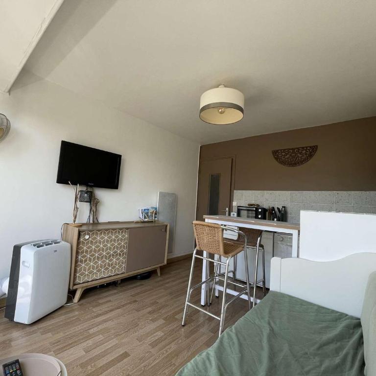 Studio Cabine - Accès Plage - Ascenseur - Parking - FR-1-308-207 - Monolocale - 13