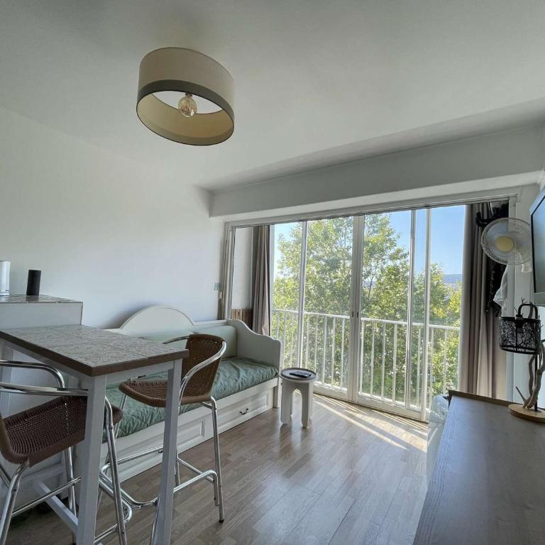 Studio Cabine - Accès Plage - Ascenseur - Parking - FR-1-308-207 - Monolocale - 1