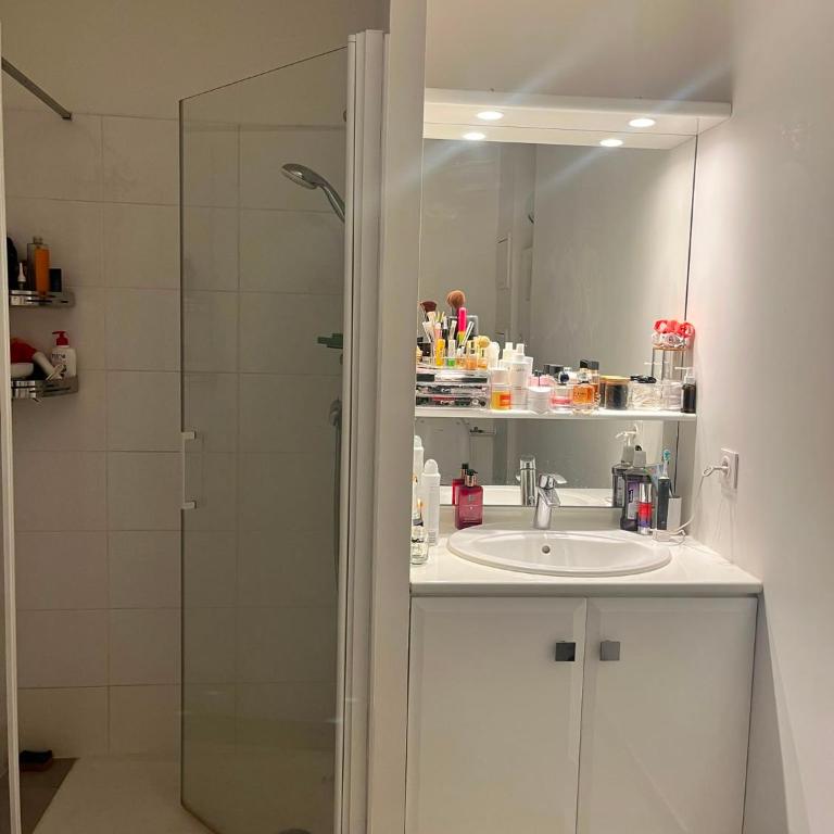 Appartement de 40m2 situé au premier étage - Apartment mit 1 Schlafzimmer - 9