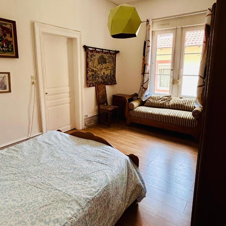 appartement spacieux en centre ville - Apartment - 12