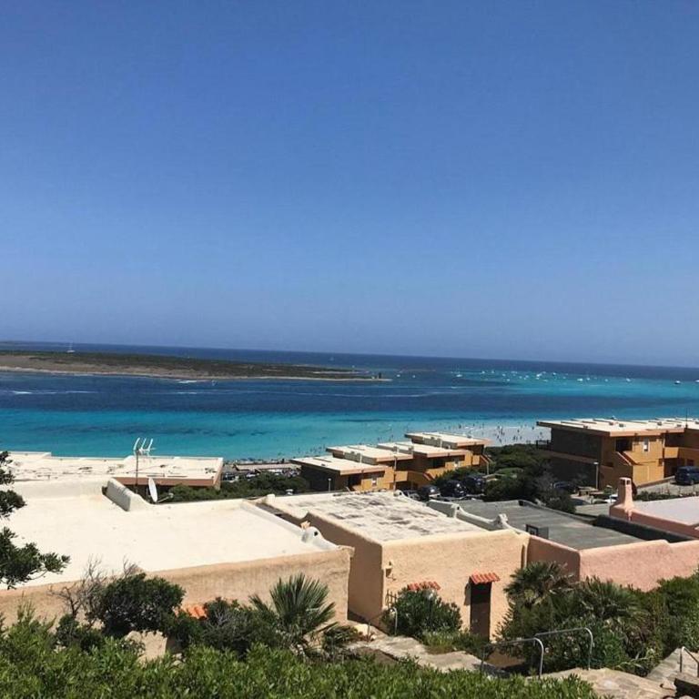 Stintino Sea Houses - Appartamento con 1 Camera da Letto - 4