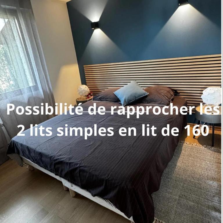 Magnifique 2 pièces avec vue sur le Lac - Appartement 1 Chambre - 6