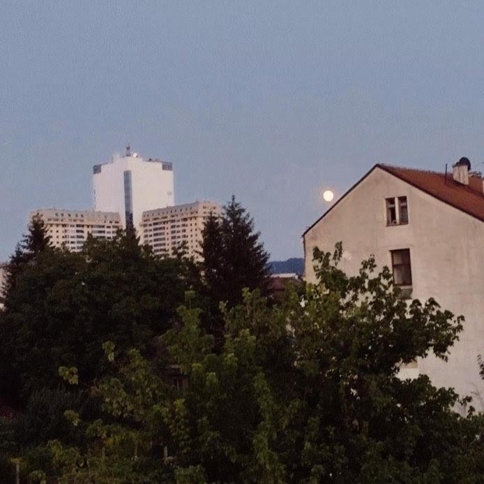 Urban Jungle Pannonica Apartment - Apartman sa 1 Spavaćom Sobom - 11