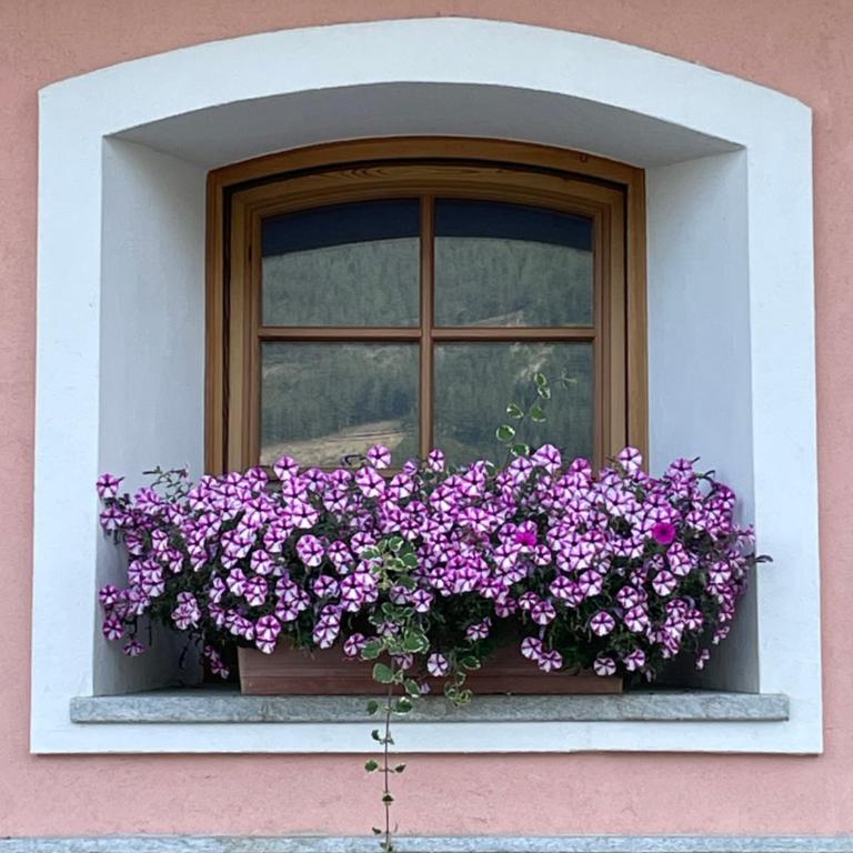 Affittacamere L'Abri - Suite Familiare - 4