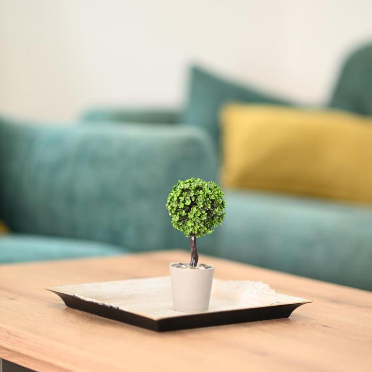 VAB Apartment - Two-Bedroom Apartment with Terrace - 63