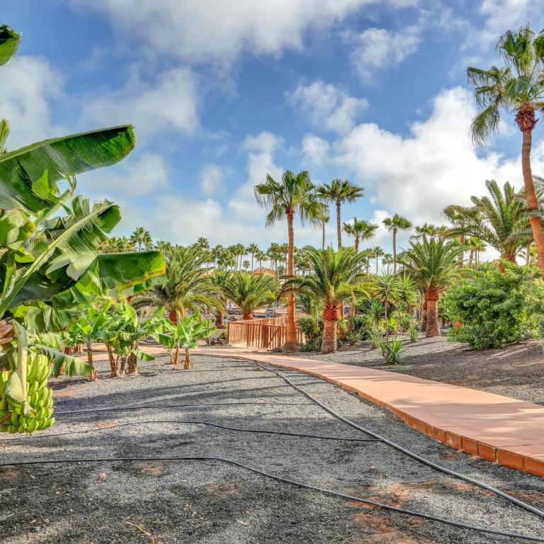 Oasis Royal - Apartamento de 2 dormitorios con terraza - 43