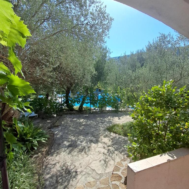 Resort "Maslinjak" - Apartman s 1 Spavaćom Sobom i Pogledom na Bazen - 11