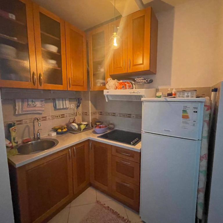 Radunsson Blue Apartment Petrovac - One-Bedroom Apartment - 9