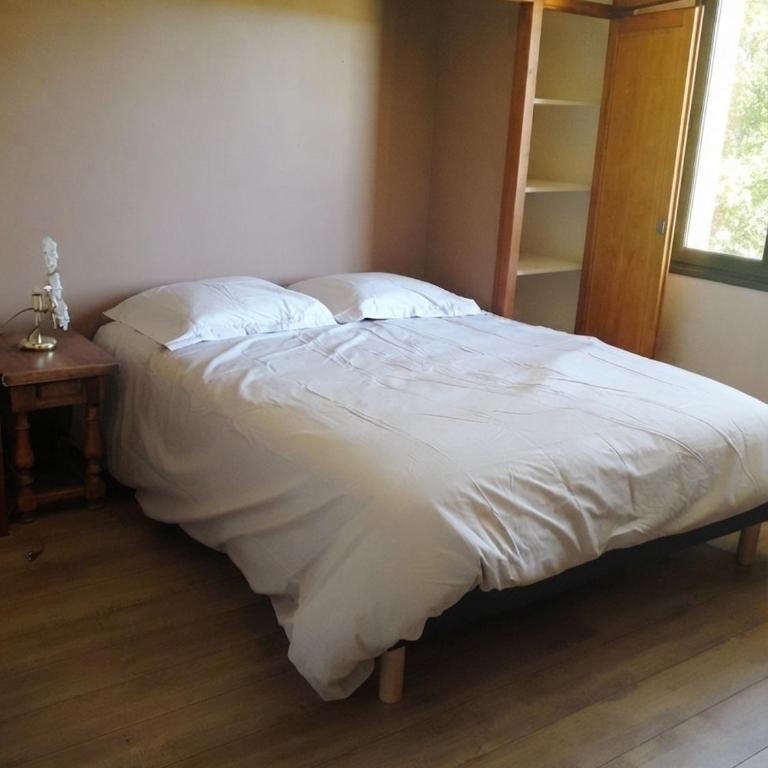 Le Petiou Landais - Villa 3 Chambres - 11