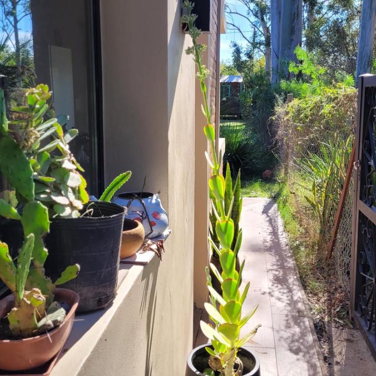 La Pituca del Monte - Apartamento - Planta baja - 4