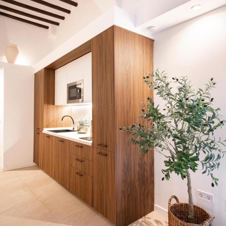 Postigo Homes Málaga Bajo - Apartamento de 1 dormitorio - 11
