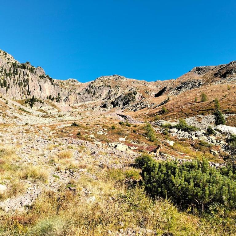 Maso dell'Alba - Ponciach - Altavalle - Appartamento con 1 Camera da Letto - 7