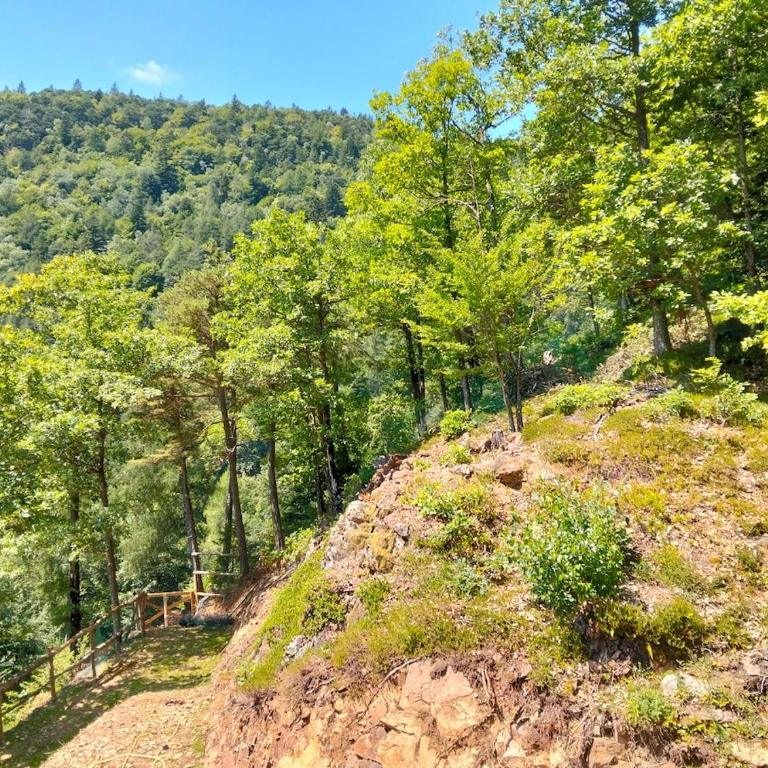 Maso dell'Alba - Ponciach - Altavalle - Appartamento con 1 Camera da Letto - 12