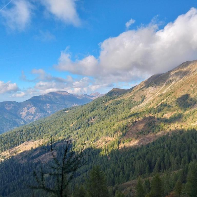 Maso dell'Alba - Ponciach - Altavalle - Appartamento con 1 Camera da Letto - 19