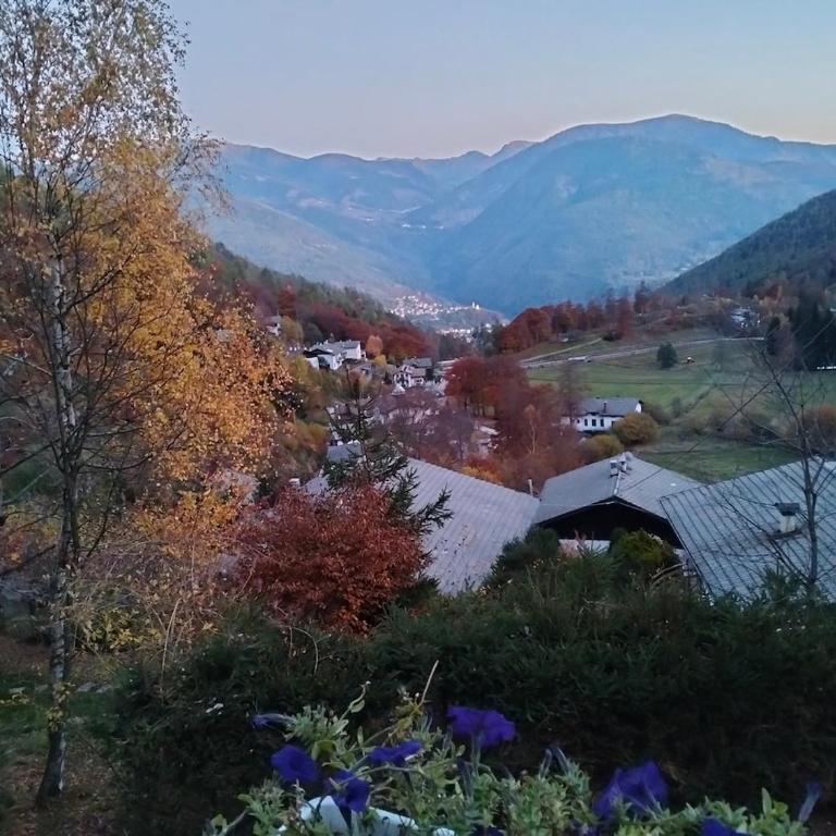 Maso dell'Alba - Ponciach - Altavalle - Appartamento con 1 Camera da Letto - 24