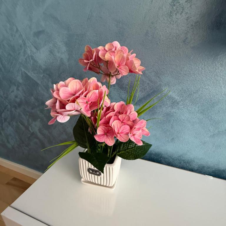 Daky Home 3 near Airport,tram and City Center - Apartman sa 1 Spavaćom Sobom - 5