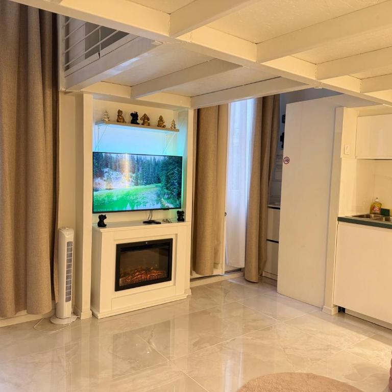 Au coeur de Paris Ile Saint-Louis et Notre Dame - Appartement 1 Chambre - 28