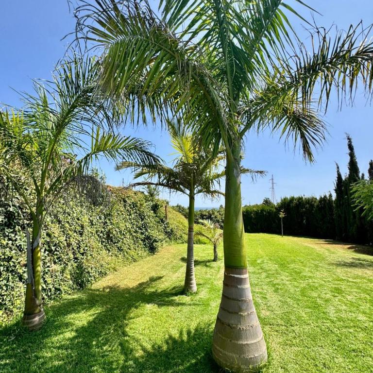 Villa Monica - Villa - 36
