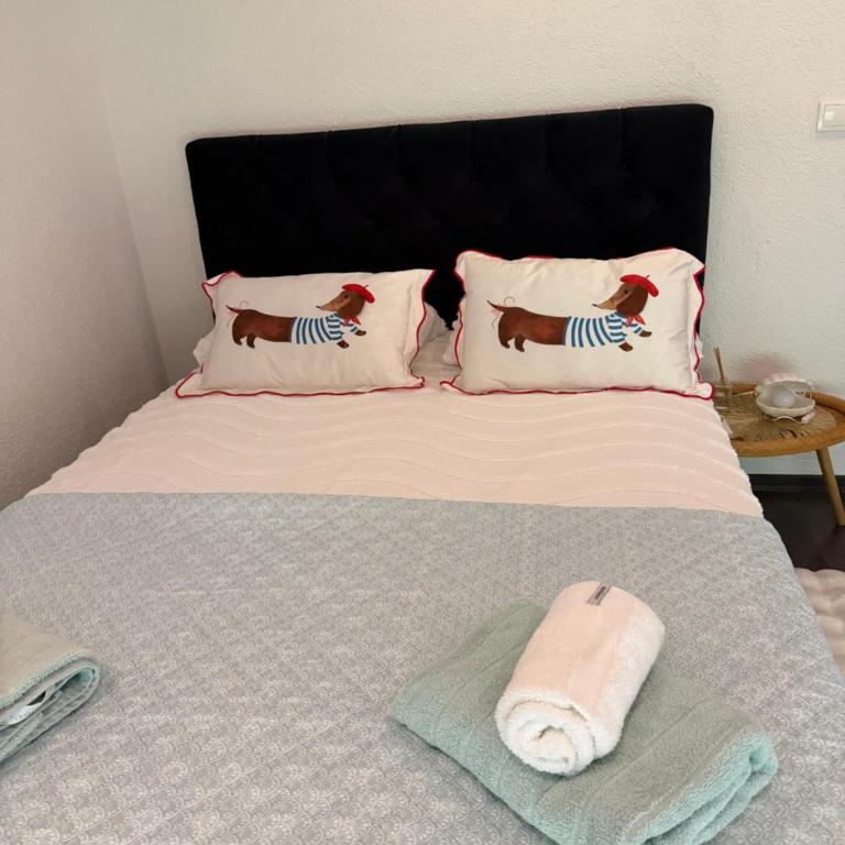 Apartments Sofi Bistrik - Apartman sa 2 Spavaće Sobe - 12