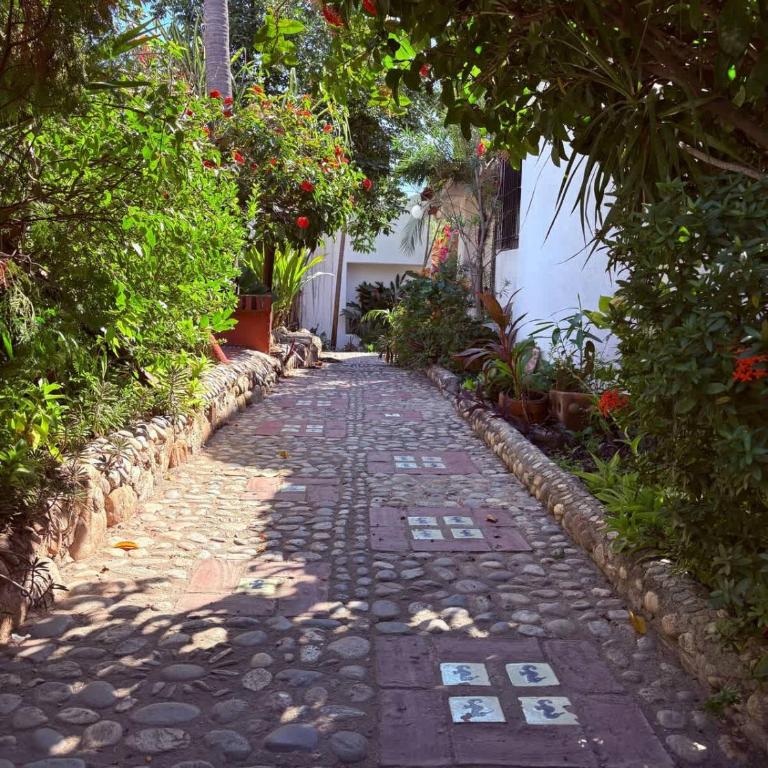 3BR Beach Home Palapa Pool & Steps to the Beach - Apartamento - 15