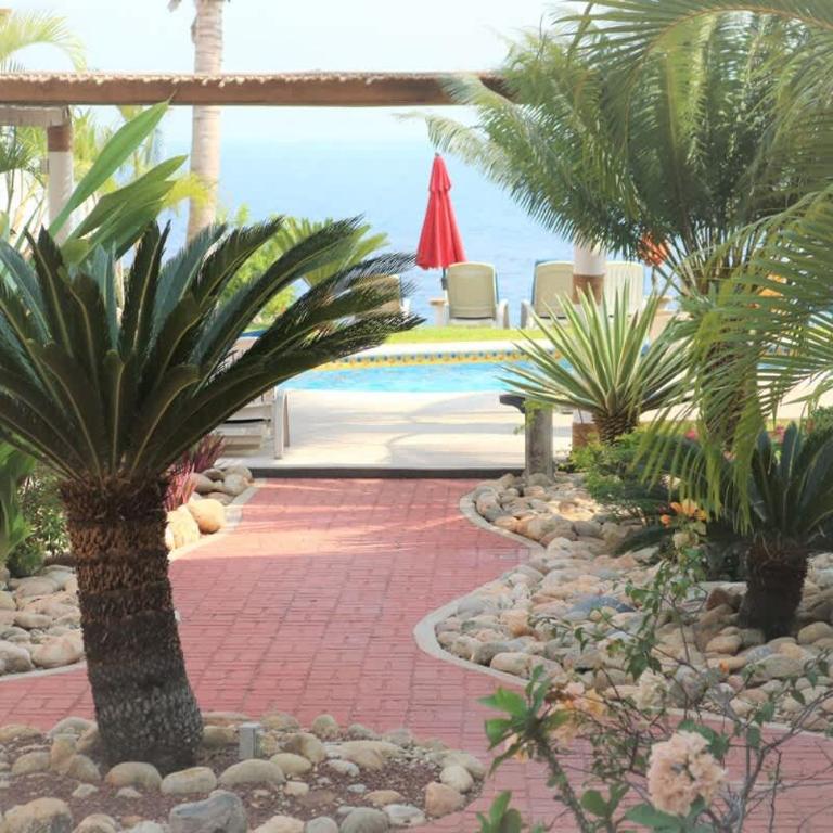 Oceanfront 2BR Pool Palapa & Steps to Beach - Appartement - 18