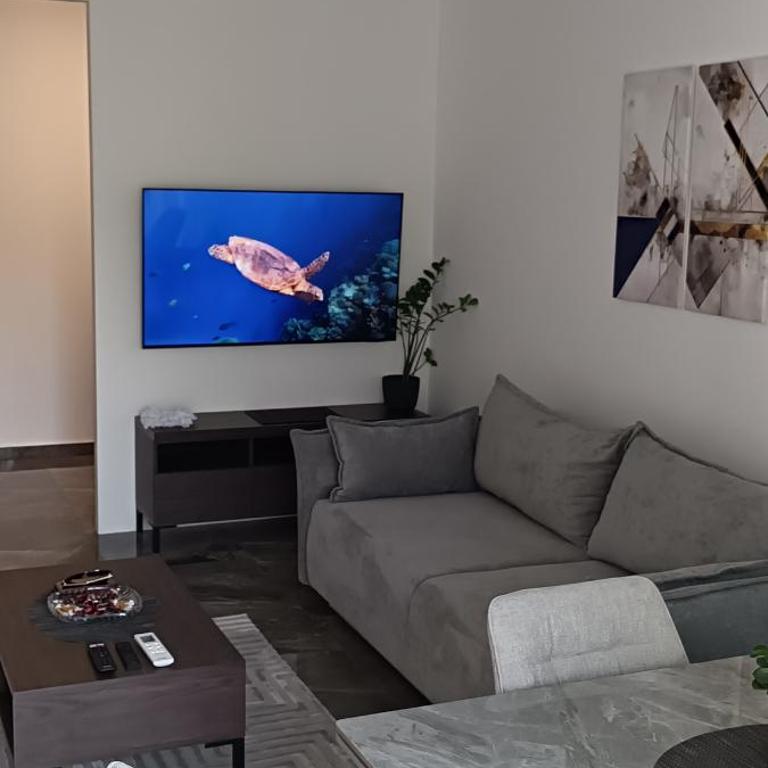 Apartman Ljubisavljević - Apartment mit 1 Schlafzimmer - 9