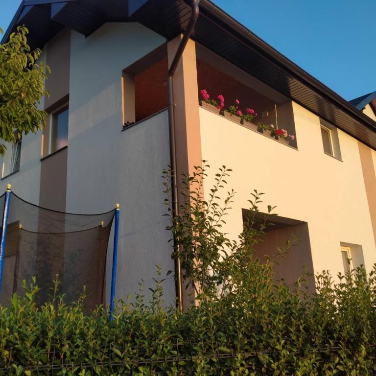 Apartman Ema - Appartement 1 Chambre - 4