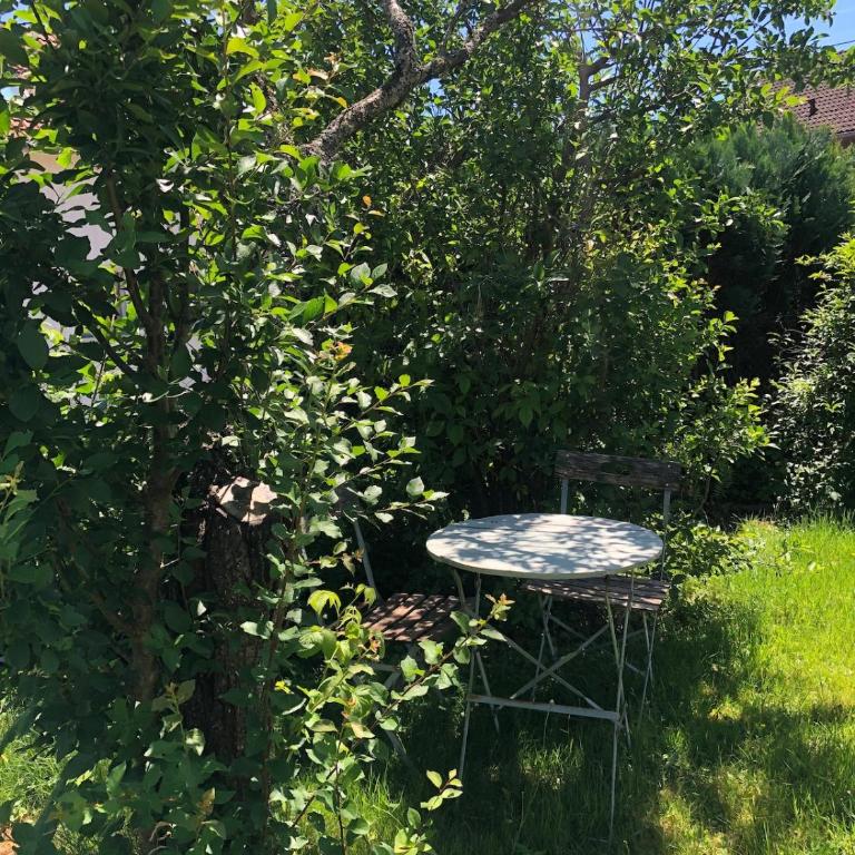 Family home, Pleasant and ideally located - Maison 3 Chambres - 16