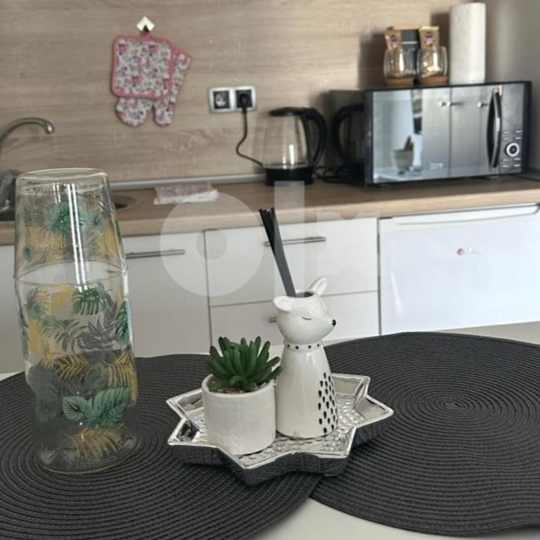 Small, sweet apartment Bulevar - Apartman sa 1 Spavaćom Sobom - 4