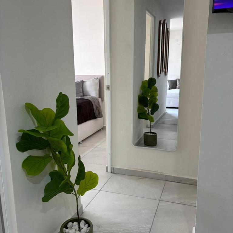 Depa privado - Metro L3 y Central de Autobuses - Apartment mit 2 Schlafzimmern - 14