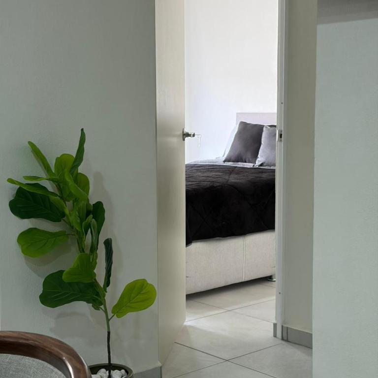 Depa privado - Metro L3 y Central de Autobuses - Apartment mit 2 Schlafzimmern - 20