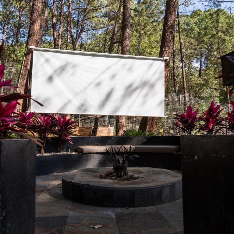 Keila Santuario de lujo entre tigre Mazamitla - Chalet de 1 dormitorio - 13