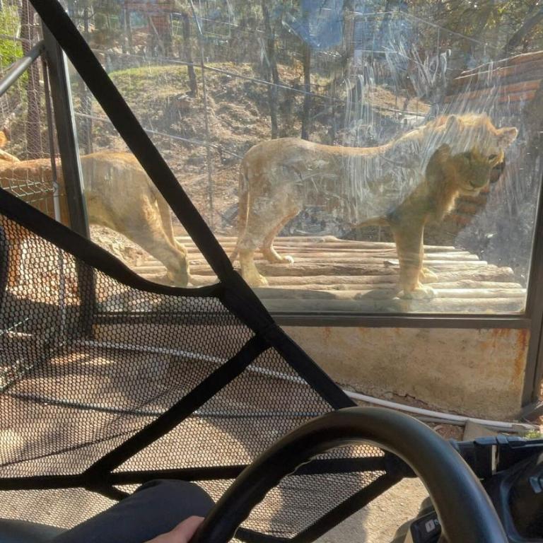 Keila Santuario de lujo entre tigre Mazamitla - Chalet de 1 dormitorio - 21