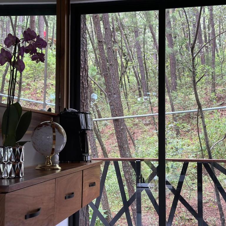 Keila Santuario de lujo entre tigre Mazamitla - Chalet de 1 dormitorio - 43