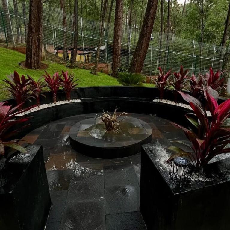 Keila Santuario de lujo entre tigre Mazamitla - Chalet de 1 dormitorio - 60