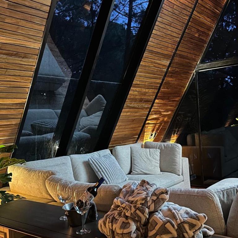 Keila Santuario de lujo entre tigre Mazamitla - Chalet de 1 dormitorio - 72
