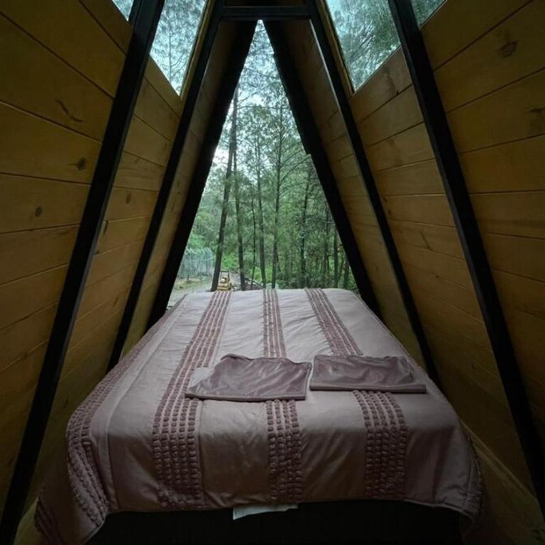 Keila Santuario de lujo entre tigre Mazamitla - Chalet de 1 dormitorio - 81