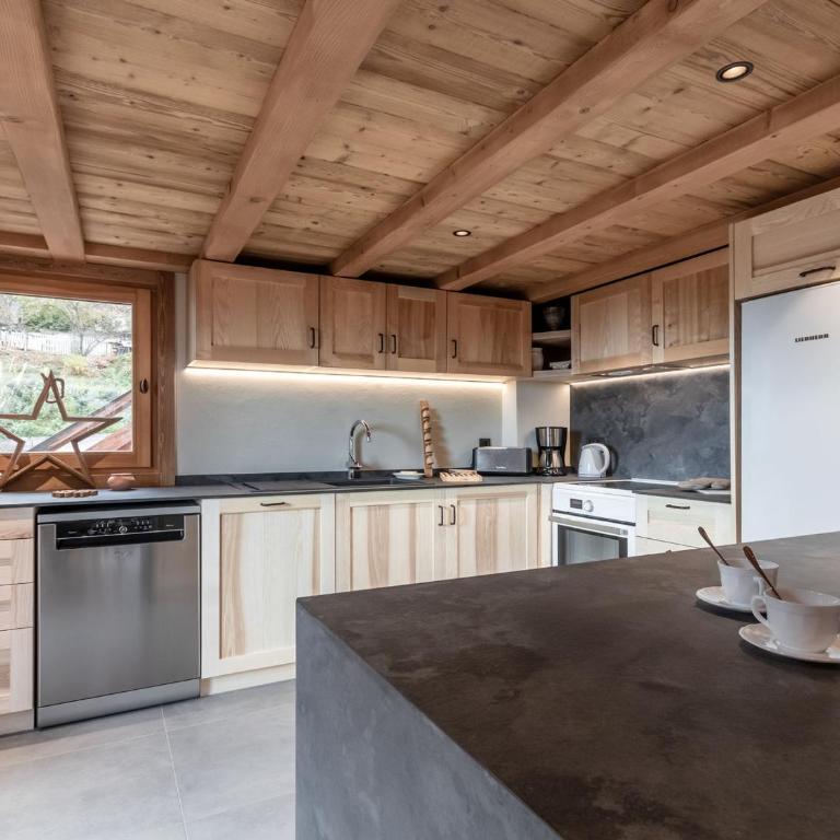 Chalet alpin moderne - 12 pers. - FR-1-663-61 - Appartement - 4