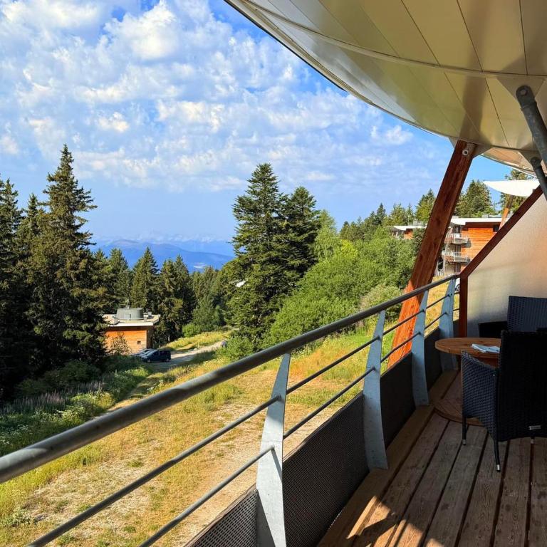 Appartement chaleureux, animaux admis, vue montagne - 7 pers. - FR-1-549-170 - Appartement - 7