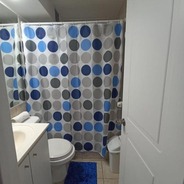 Parque paraguay - One-Bedroom Apartment - 1