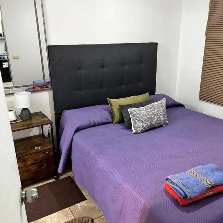 Parque paraguay - One-Bedroom Apartment - 2