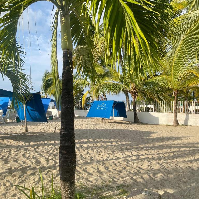 Apartamento frente al mar Brisa Marina - Apartamento de 3 dormitorios - 25