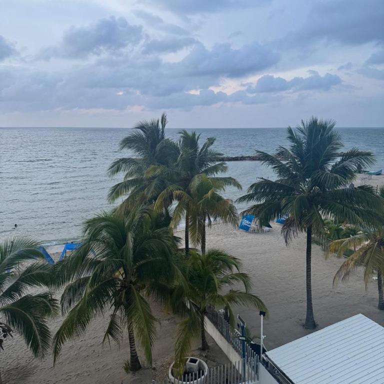 Apartamento frente al mar Brisa Marina - Apartamento de 3 dormitorios - 26