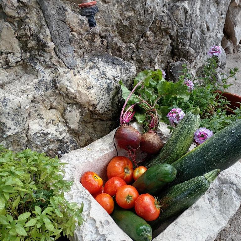 Kuća za odmor - Kuća sa 2 Spavaće Sobe - 7