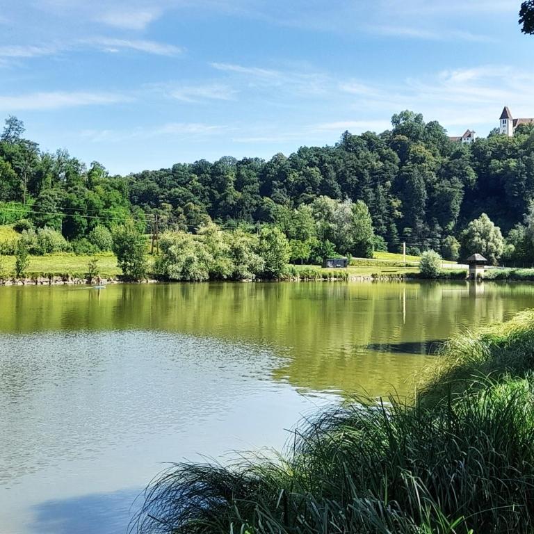 "Das Steirerhaus am Seggauberg" - Familien Ferienhaus mit zwei separaten Apartments - Haus mit 4 Schlafzimmern - 33