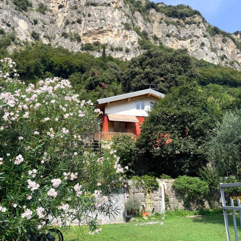 Wind's Garden - Apartments Torbole - Apartment mit 1 Schlafzimmer - 1