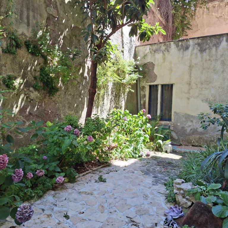 Nemus garden house - Appartamento con 1 Camera da Letto - 4